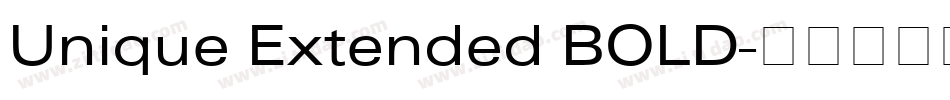 Unique Extended BOLD字体转换